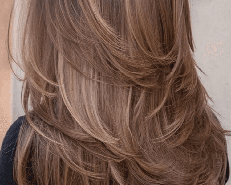 BRUSHING/PLANCHADO desde...