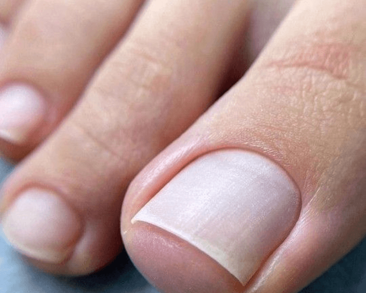 PEDICURA LIMPIEZA + SPA CLEOPATRA