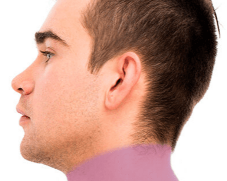 Cuello (No Barba) Mujer-Hombre