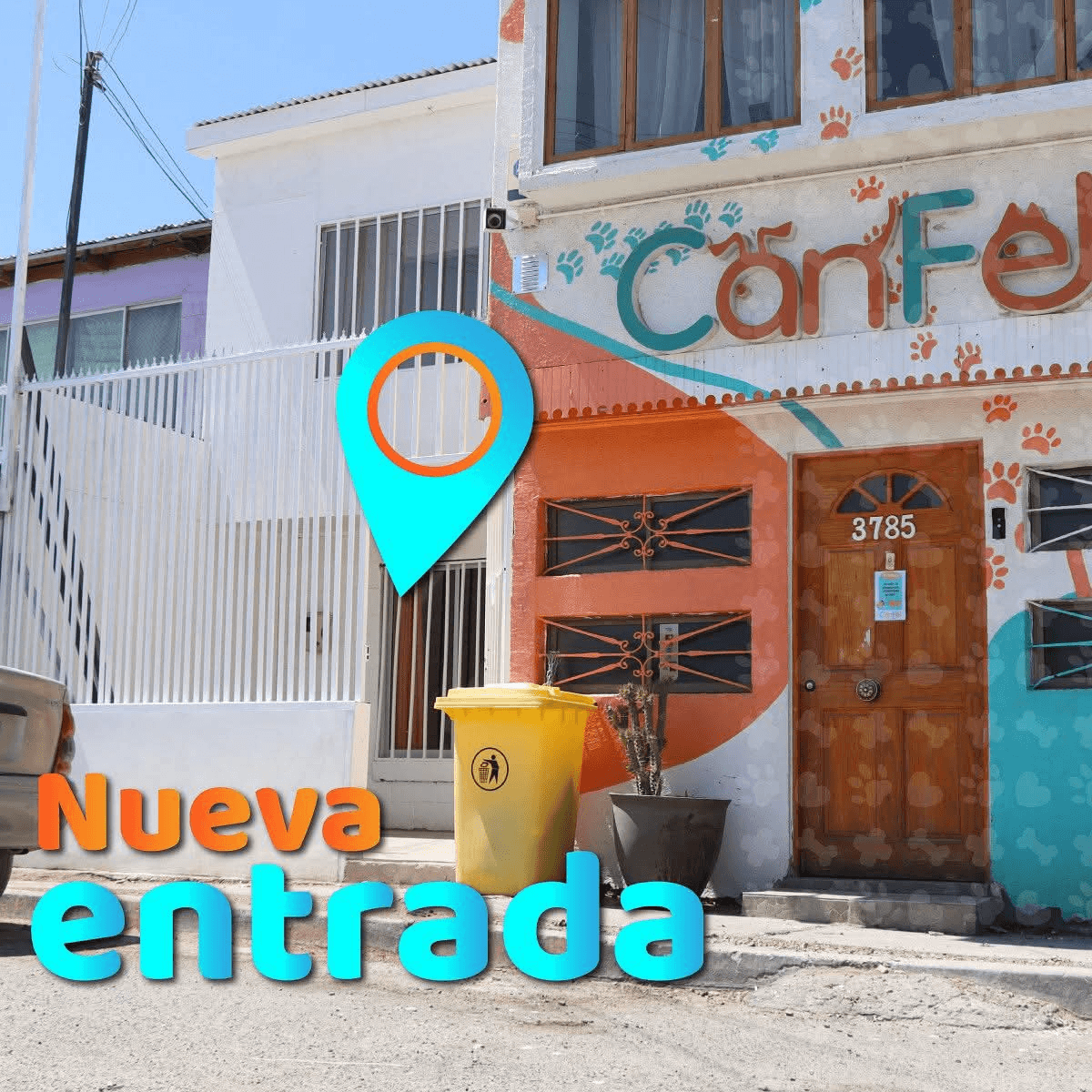 Vasco de Gama 3785 photo