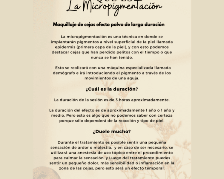 Micropigmentación cejas - PowderBrows