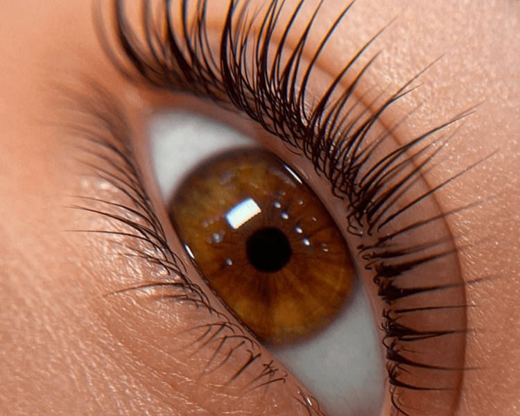 Lifting de pestañas tradicional