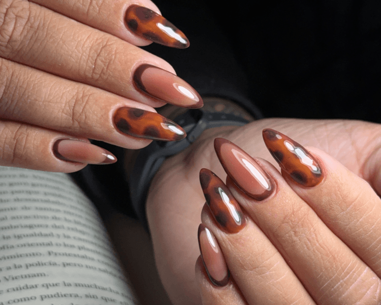 Diseño complejo x10