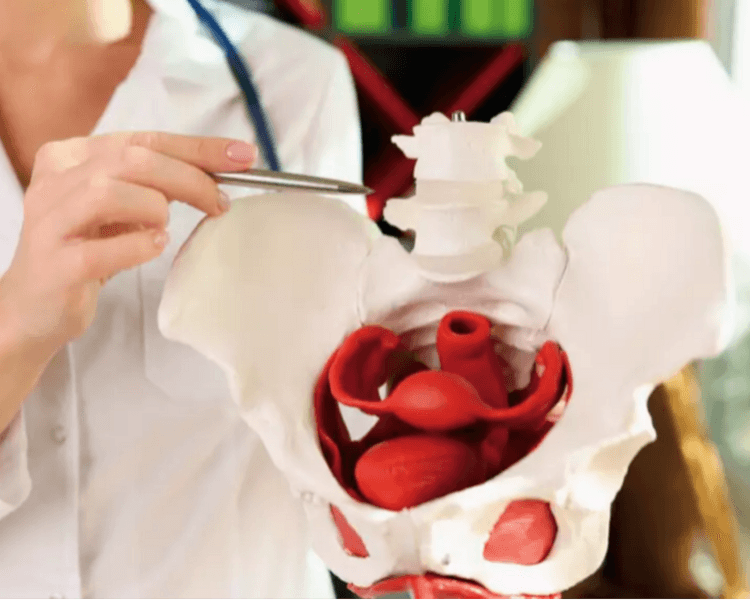 Sesión de Piso Pélvico