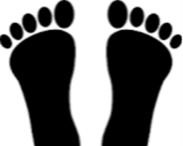 Estudio de la Marcha/Plantillas personalizadas