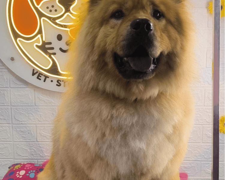 MANTO LARGO DOBLE CAPA 30KG-34KG