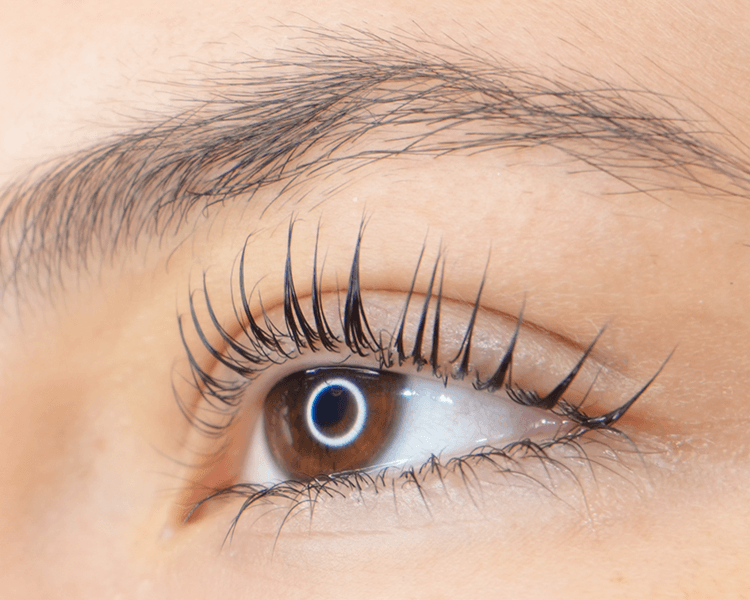 🌸 Lifting de Pestañas + Tinte + Botox