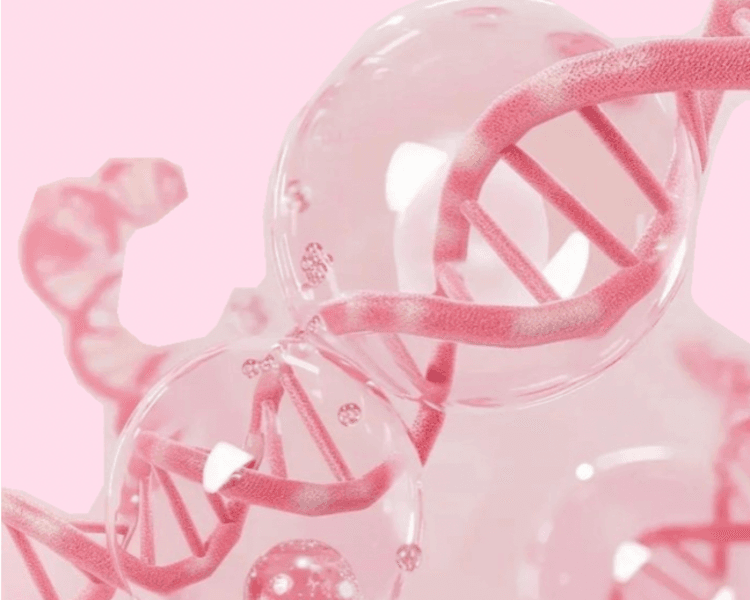 Test Genético - Fertilidad