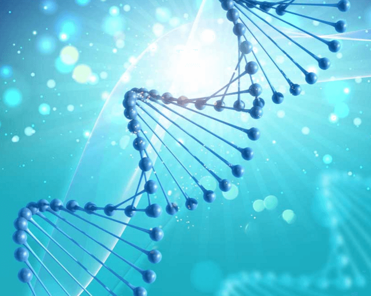 Test Genético - Inmunidad e intolerancia a los alimentos