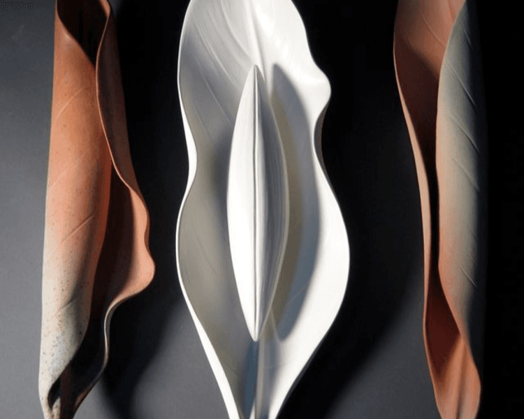 Acupulse - Labioplastia con Láser Co2