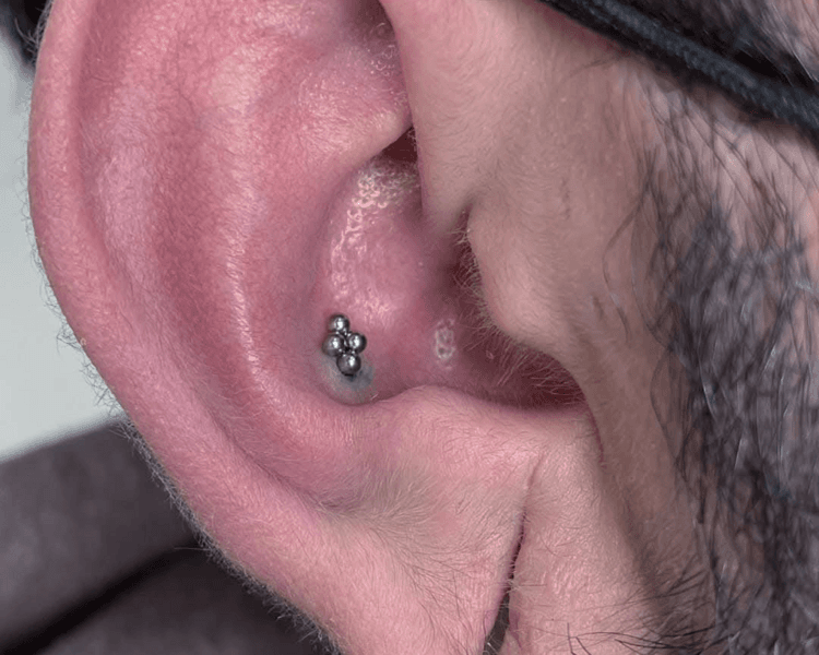Conch Piercing