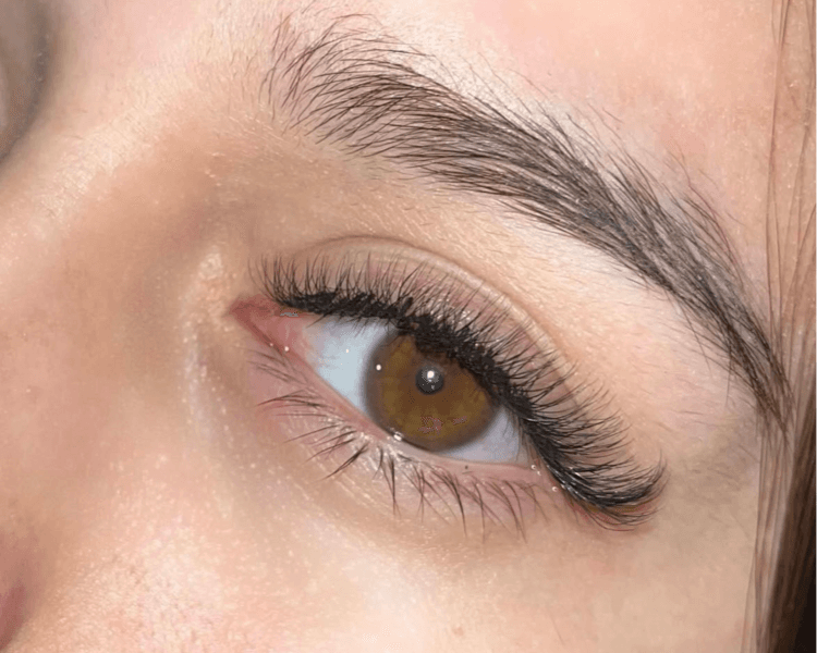 Volumen tecnológico