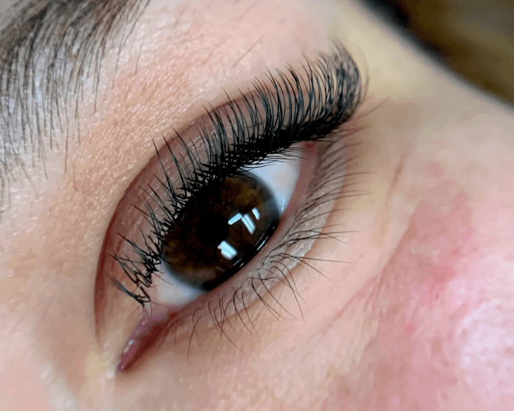 Técnica Clásicas Selene