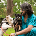 Luis González (citas frecuentes)