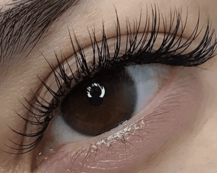 RETOQUE PESTAÑAS (CLASICAS)