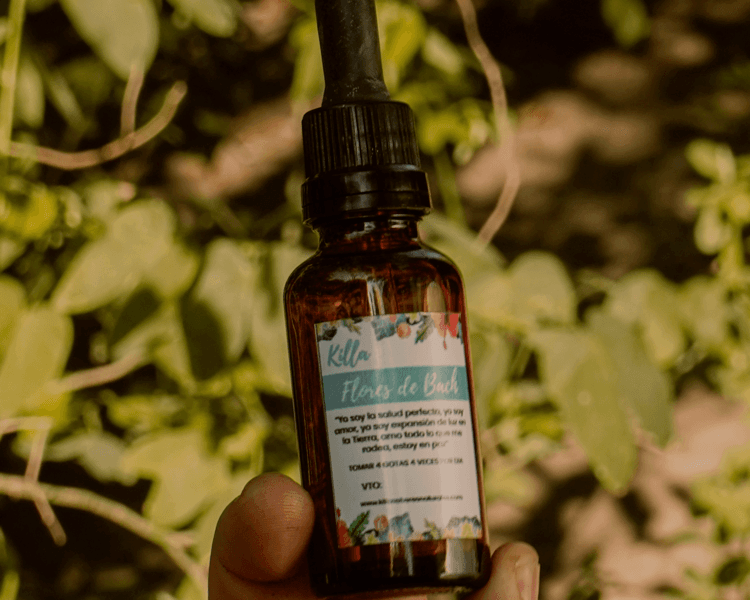 Terapia Floral+Hongos Adaptogenos