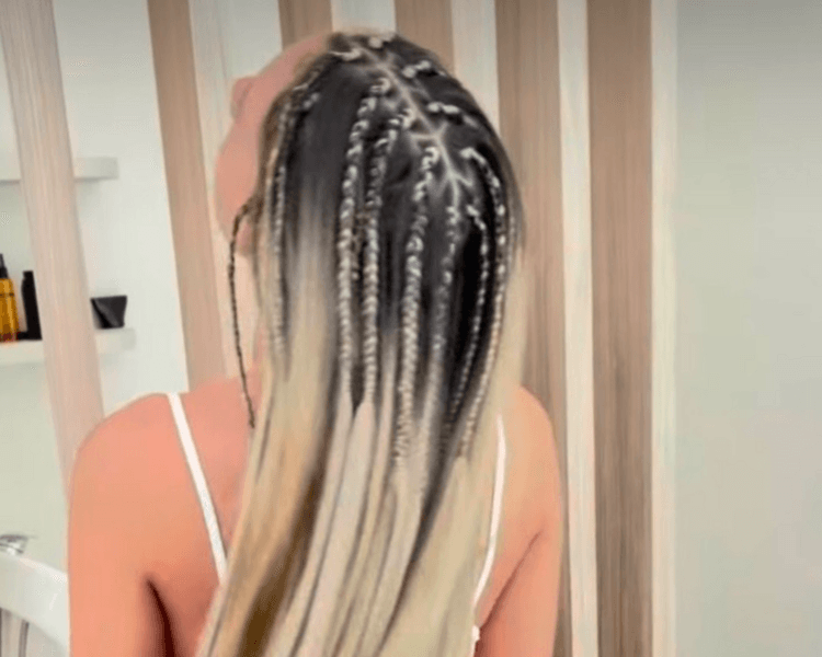 Trenzas cascadas (Sueltas en todo el cabello)