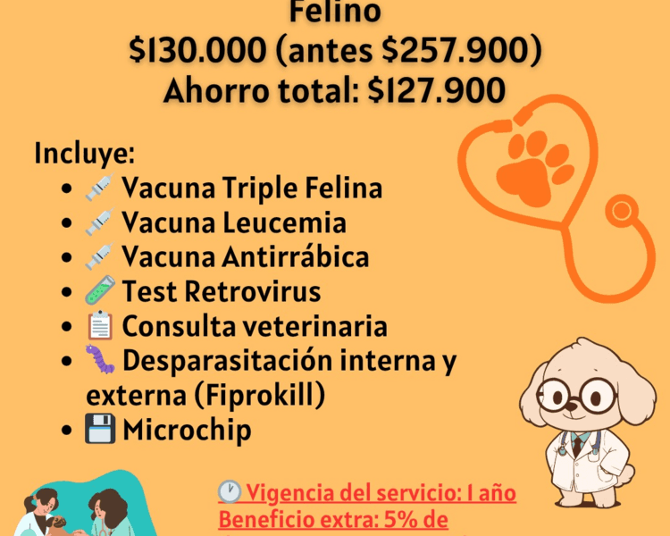 Plan Felino