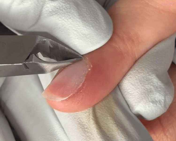 Paquete PLEXIGEL BUILDER TIP