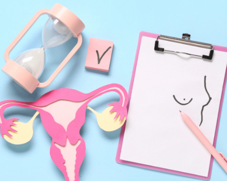 🌸 Consulta Ginecológica