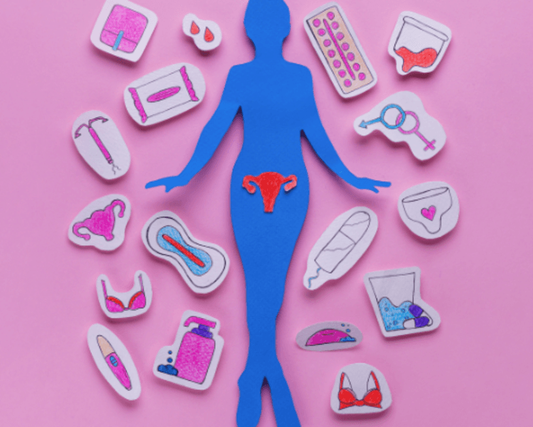 🌸 Control Ginecológico