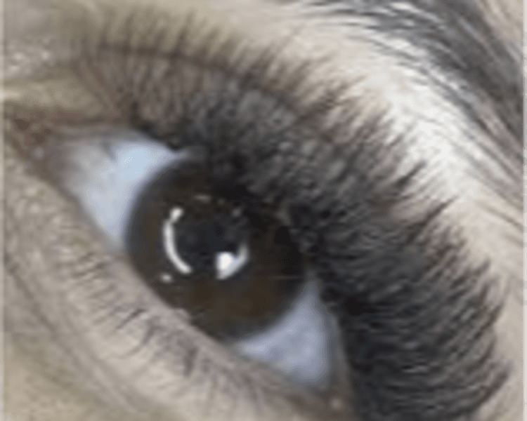 EXTENSIONES TECNOLOGICAS 6D