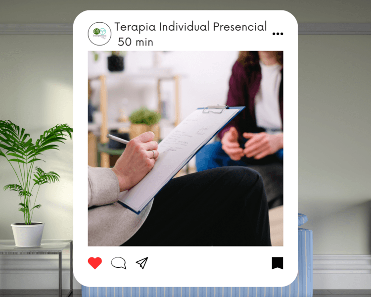 Terapia Individual Seguimiento