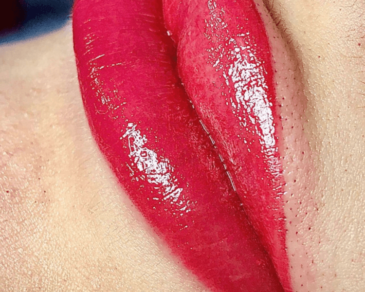 Micro de cejas y labios