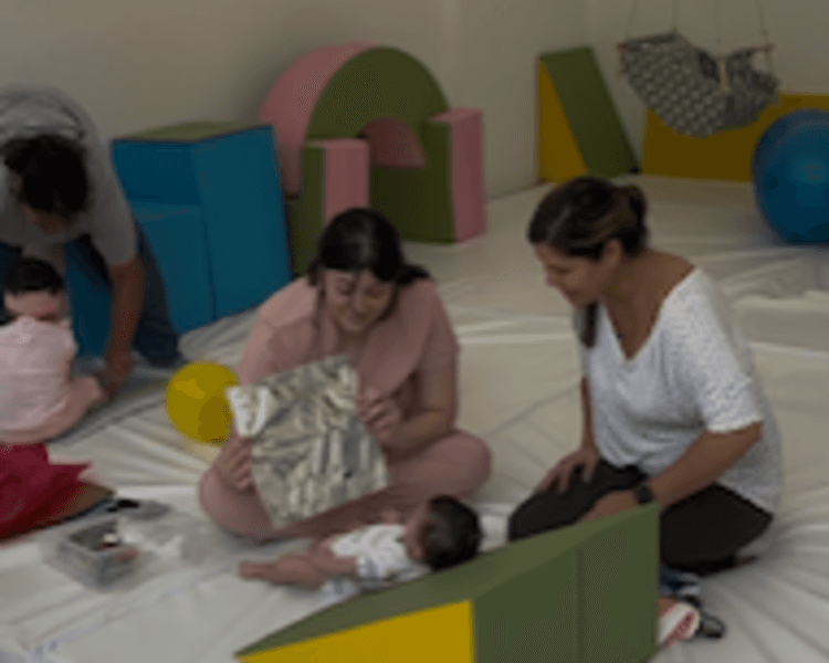 Estimulación temprana Individual