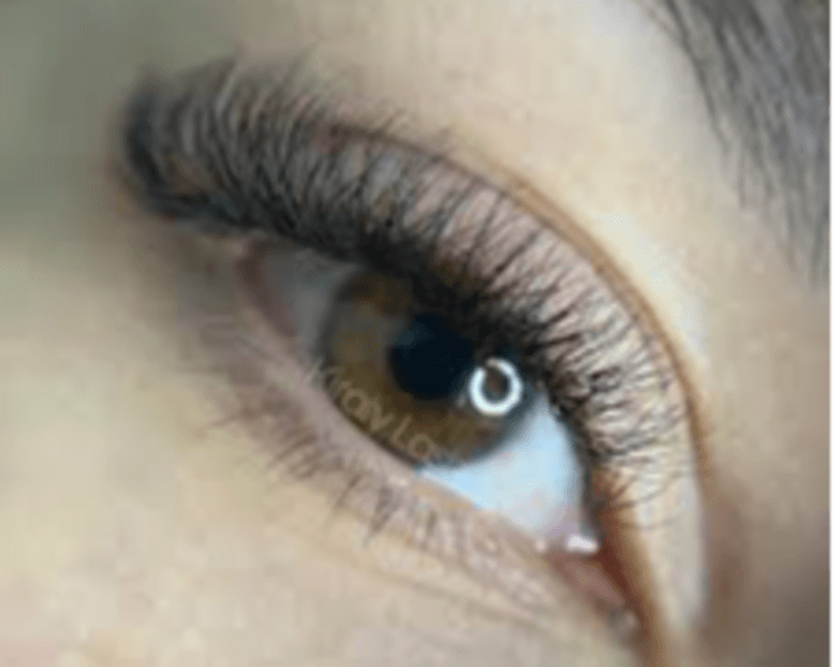 EXTENSIONES DE PESTAÑAS 2D