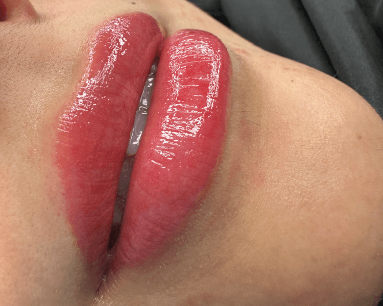 MICROPIGNENTACION DE LABIOS