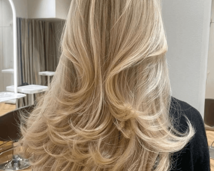 Secado con Extensiones