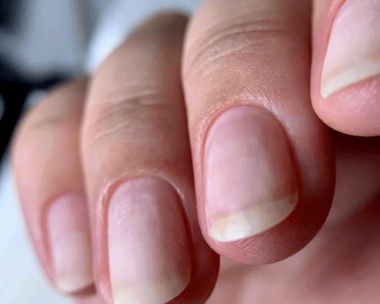 Manicuria Rusa (solo limpieza de la uña y cutículas)