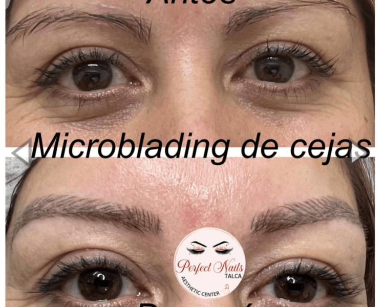 Microblading de Cejas + Retoque