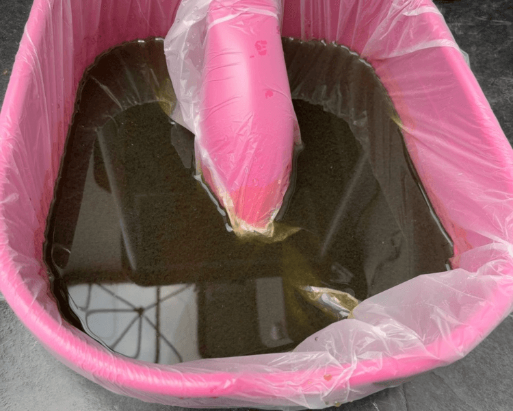 Desintoxicación Iónica