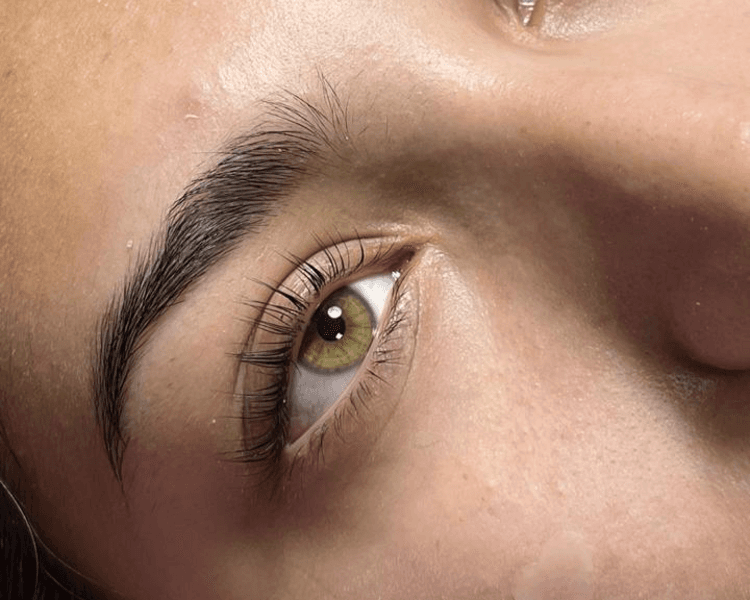 LIFTING TECNICA COREANA