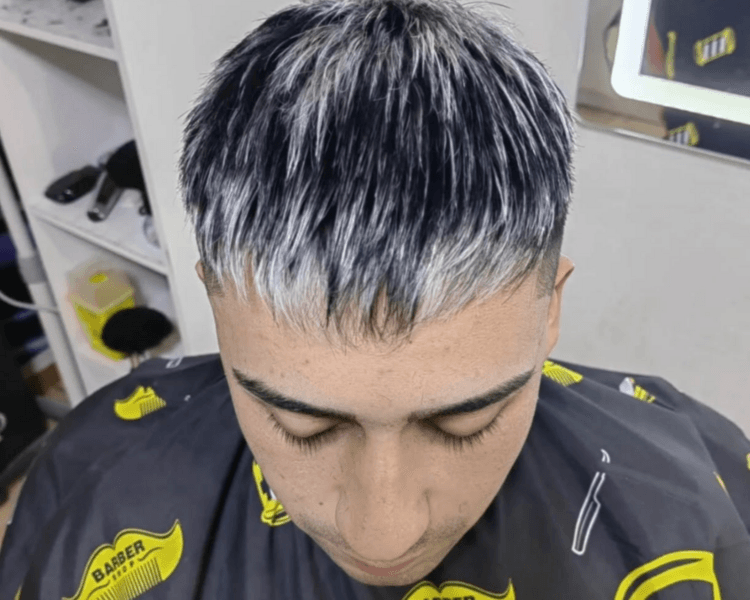 VISOS GRIS SILVER, CENIZAS, COLORES