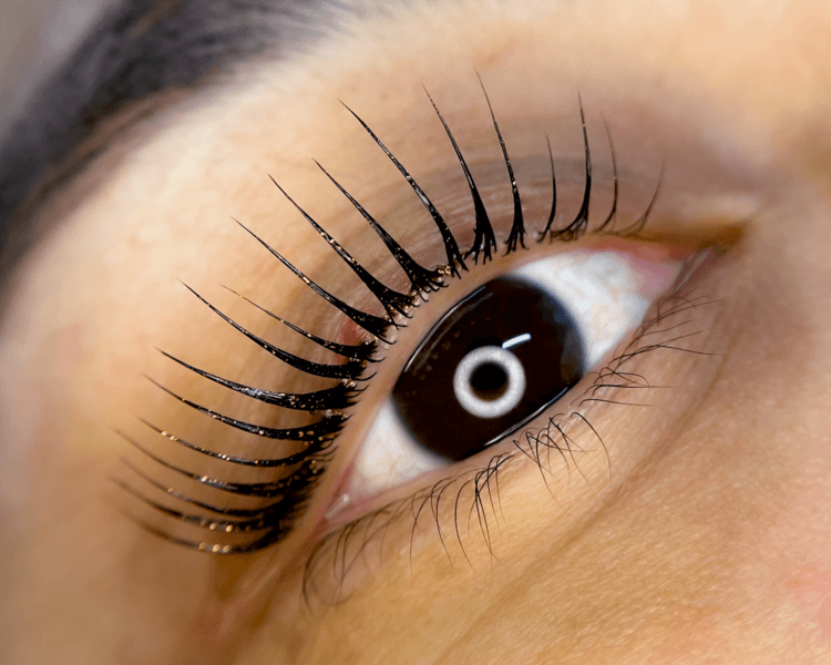 Lifting CLÍNICO CON LASH CLINIC