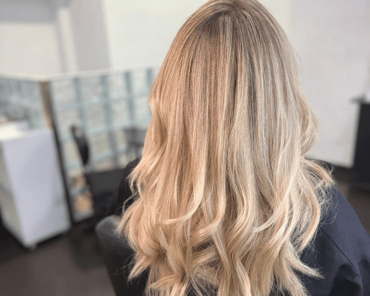 REFLEJOS CON GORRO DESDE