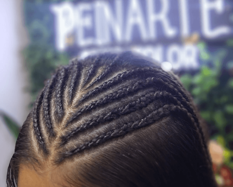 PEINADO CON TRENZAS DESDE