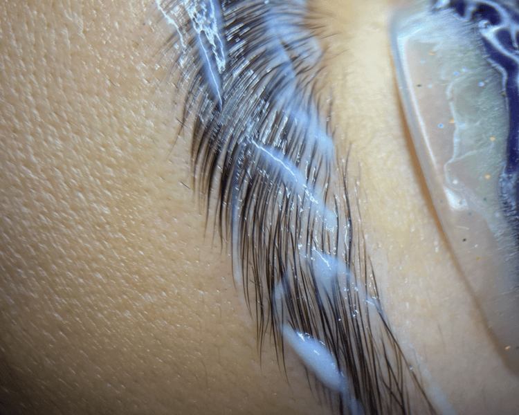 Laminación de Cejas