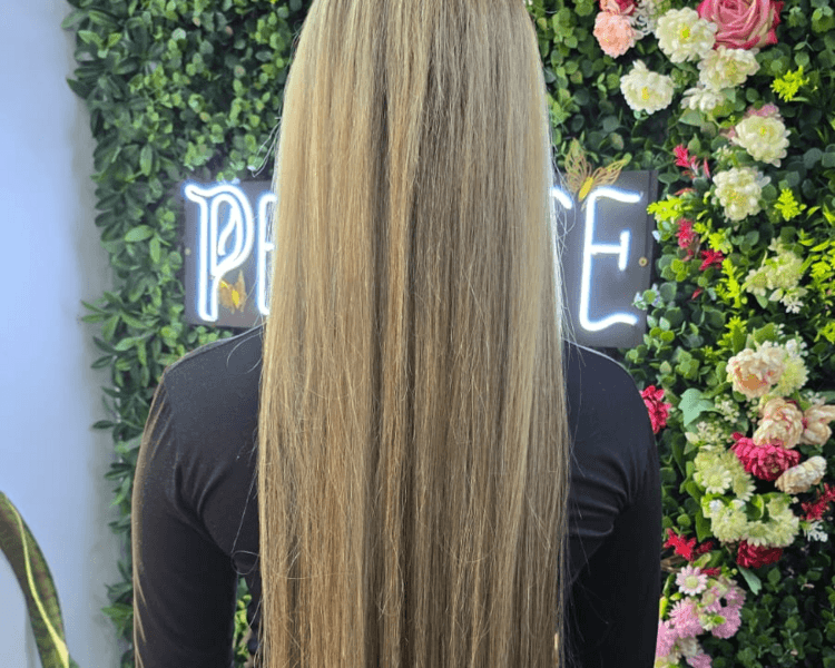 ALISADO DE CELULAS MADRES DESDE