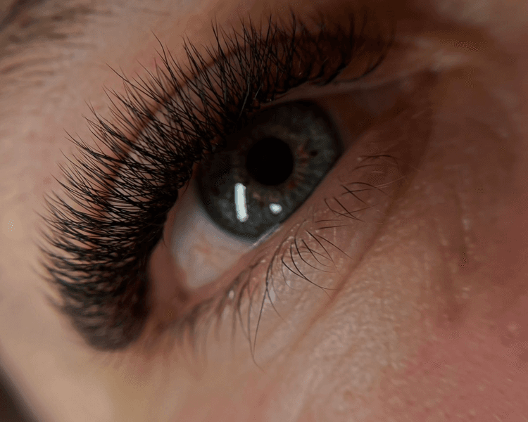 Volumen tecnológico