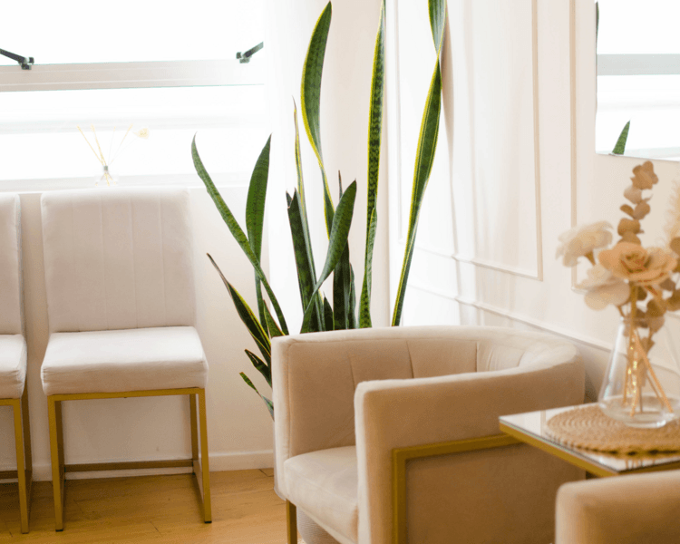 Consulta con Nutricionista ( EFECTIVO $44.000)