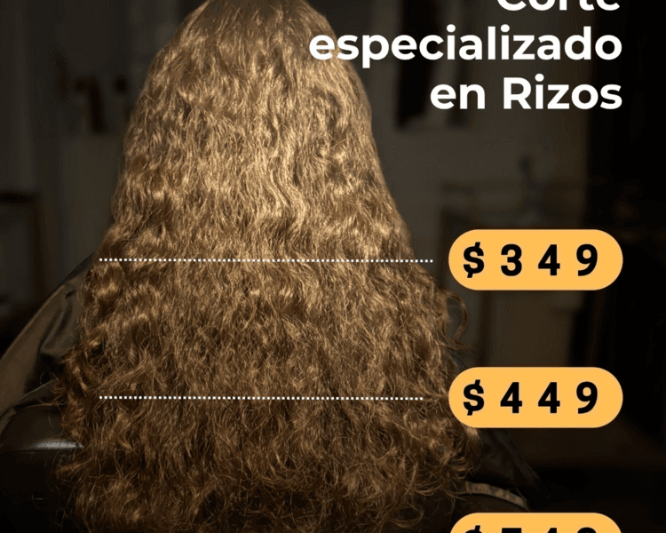 Corte Básico en Seco (SIN lavado ni estilizado) Servicio exclusivo de mantenimiento PROMO