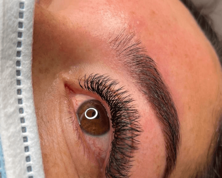 Volumen 2D Brasileño