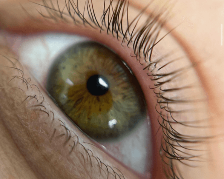 Extensión de Pestañas TÉCNICA CLÁSICA