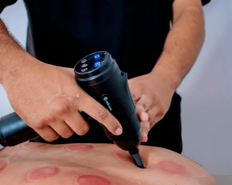 Programa recuperación y descarga