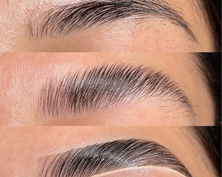 Retoque Laminado, Diseño Y Depilación