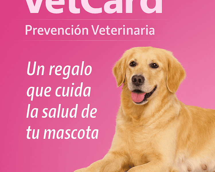Pack Gestación perros